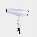 Krāšņs, regulējams stāvus matu žāvētājs